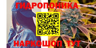 дживик Донской